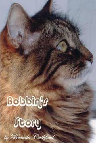 Cover image for Bobbins Story: The Little Cat That Touched So Many Lives