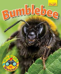 Cover image for Wildlife Watchers: Bumblebee