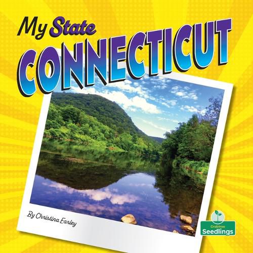 Cover image for Connecticut