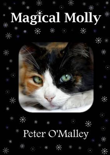 Cover image for Magical Molly