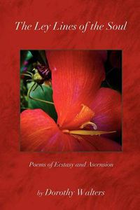 Cover image for The Ley Lines of the Soul: Poems of Ecstasy and Ascension