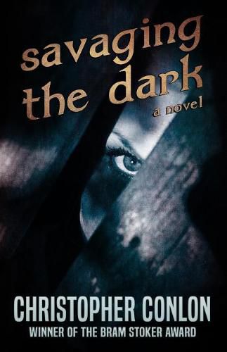 Cover image for Savaging the Dark