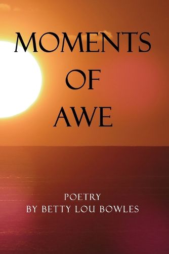 Cover image for Moments of Awe