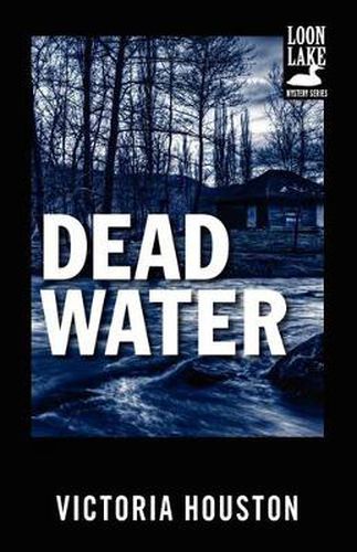 Cover image for Dead Water