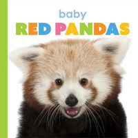 Cover image for Baby Red Pandas