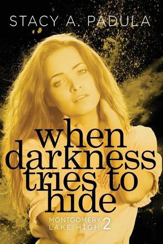 Cover image for When Darkness Tries to Hide