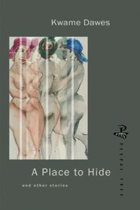 Cover image for A Place to Hide