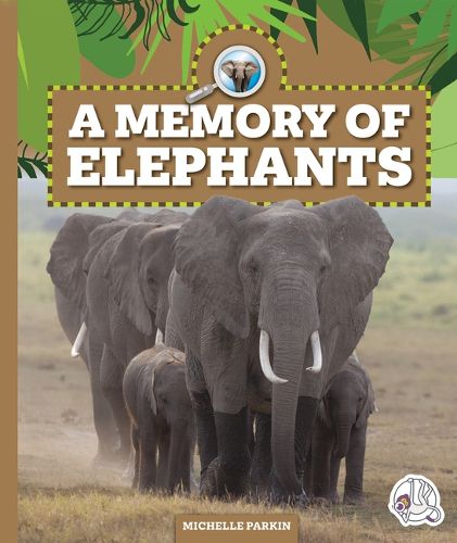 Cover image for A Memory of Elephants