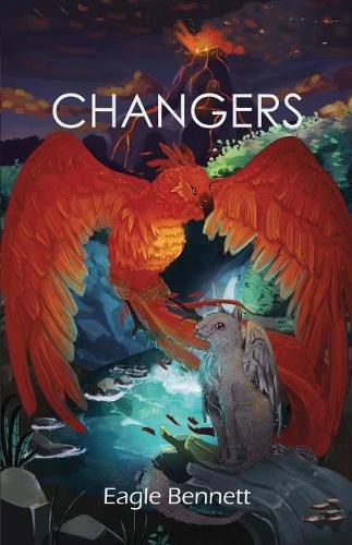 Cover image for Changers