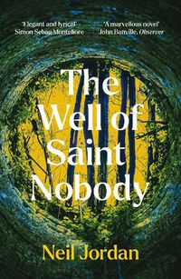 Cover image for The Well of Saint Nobody