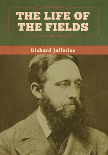 Cover image for The Life of the Fields