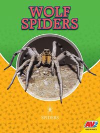 Cover image for Wolf Spiders