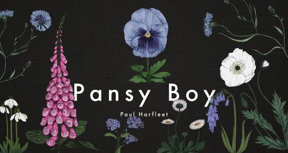 Cover image for Pansy Boy