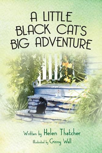 Cover image for A Little Black Cat's Big Adventure