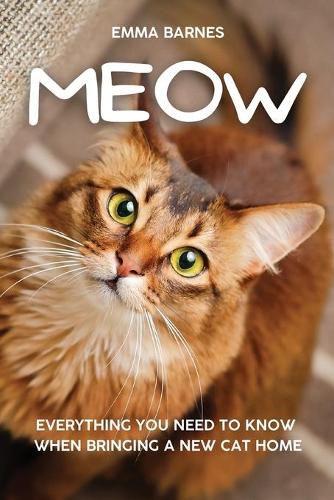 Cover image for Meow: Everything You Need to Know When Bringing a New Cat Home