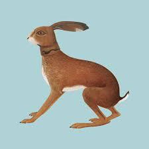 Cover image for Lookaftering - Vashti Bunyan *** 20th Anniversary Expanded Edition Vinyl