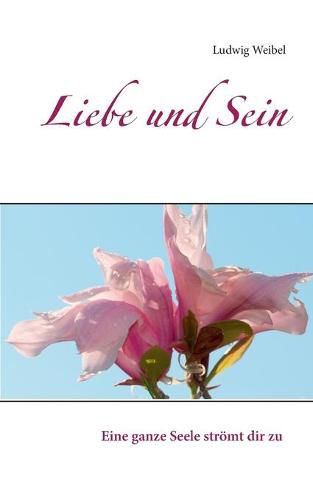 Cover image for Liebe und Sein