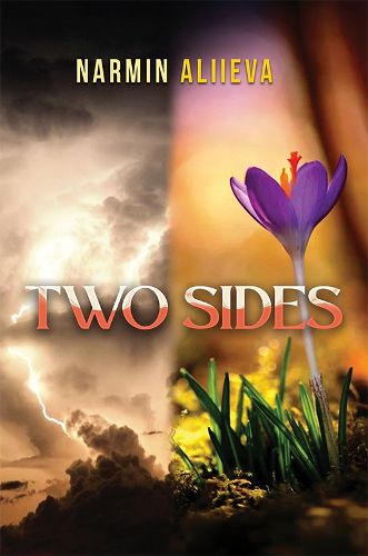 Cover image for Two Sides