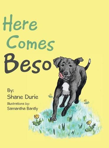 Cover image for Here Comes Beso