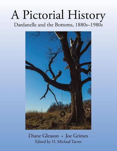 Cover image for A Pictorial History: Dardanelle and the Bottoms, 1880S-1980S