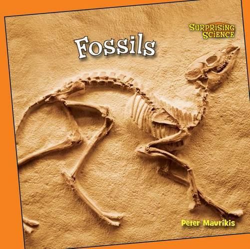 Cover image for Fossils