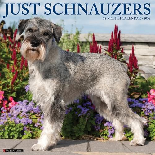 Cover image for Schnauzers 2026 12 X 12 Wall Calendar