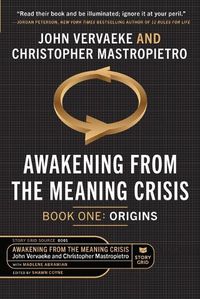 Cover image for Awakening From the Meaning Crisis