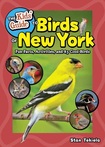 Cover image for Kids' Guide to Birds of New York