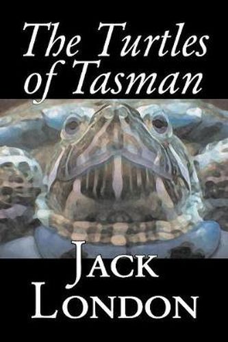 Cover image for The Turtles of Tasman