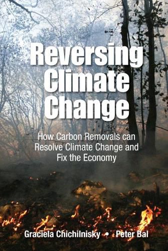 Cover image for Reversing Climate Change: How Carbon Removals Can Resolve Climate Change And Fix The Economy