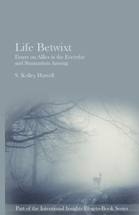 Cover image for Life Betwixt: Essays on Allies in the Everyday and Shamanism Among