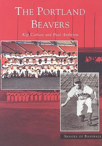 Cover image for The Portland Beavers
