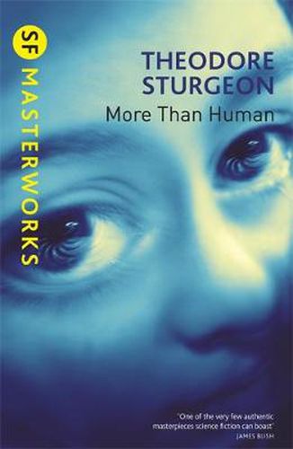 Cover image for More Than Human