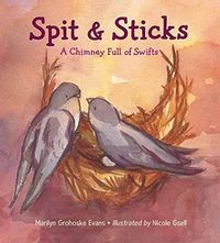 Cover image for Spit & Sticks: A Chimney Full of Swifts