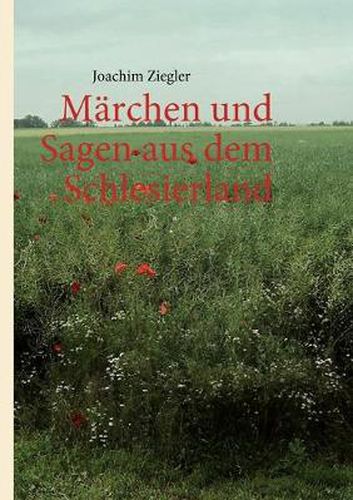 Cover image for Marchen und Sagen aus dem Schlesierland