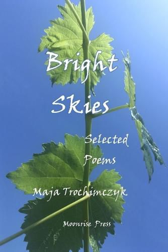 Cover image for Bright Skies