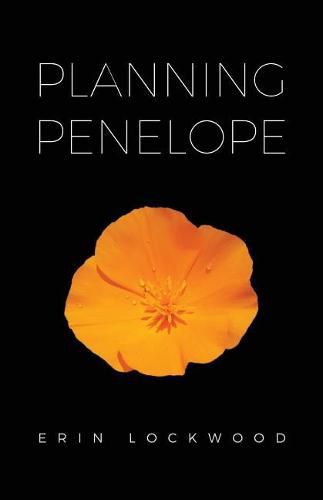 Cover image for Planning Penelope