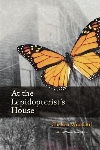 Cover image for At the Lepidopterist's House