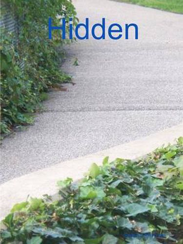 Cover image for Hidden