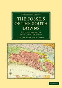 Cover image for The Fossils of the South Downs: Or, Illustrations of the Geology of Sussex