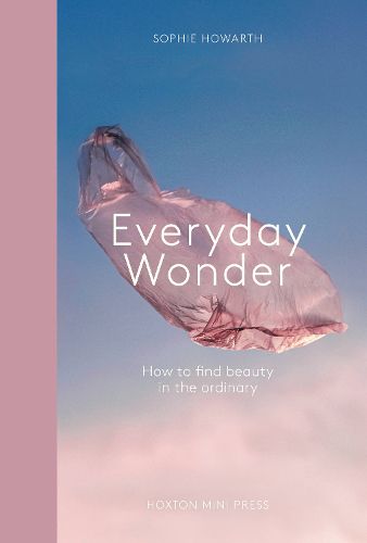 Cover image for Everyday Wonder