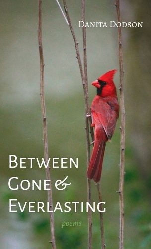 Cover image for Between Gone and Everlasting