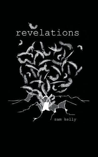 Cover image for Revelations