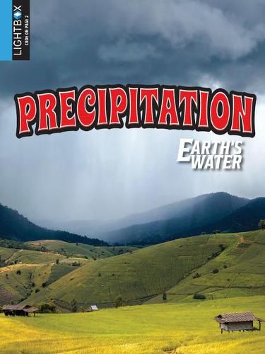 Cover image for Precipitation