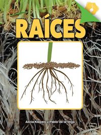 Cover image for Raices
