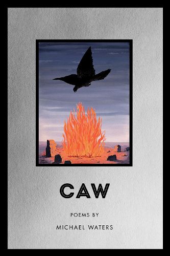 Cover image for Caw