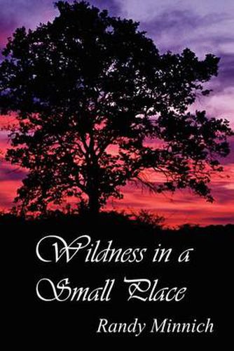 Cover image for Wildness in a Small Place