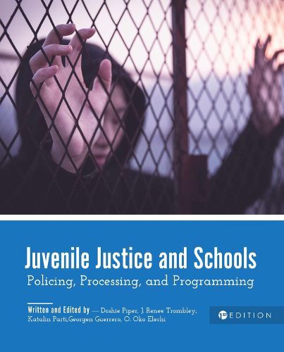 Cover image for Juvenile Justice and Schools: Policing, Processing, and Programming