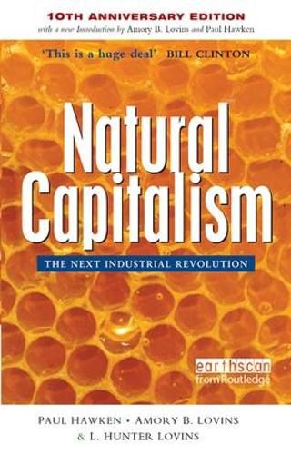 Cover image for Natural Capitalism: The Next Industrial Revolution