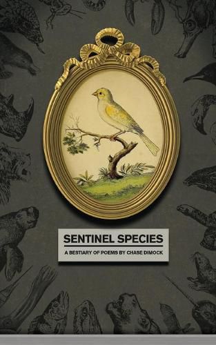 Cover image for Sentinel Species